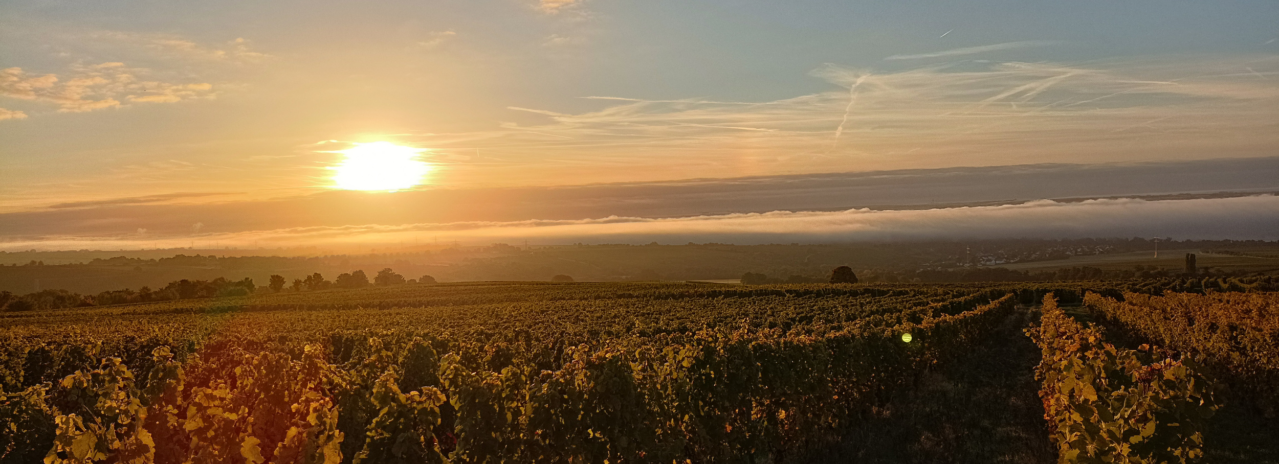 Nebel im Tal